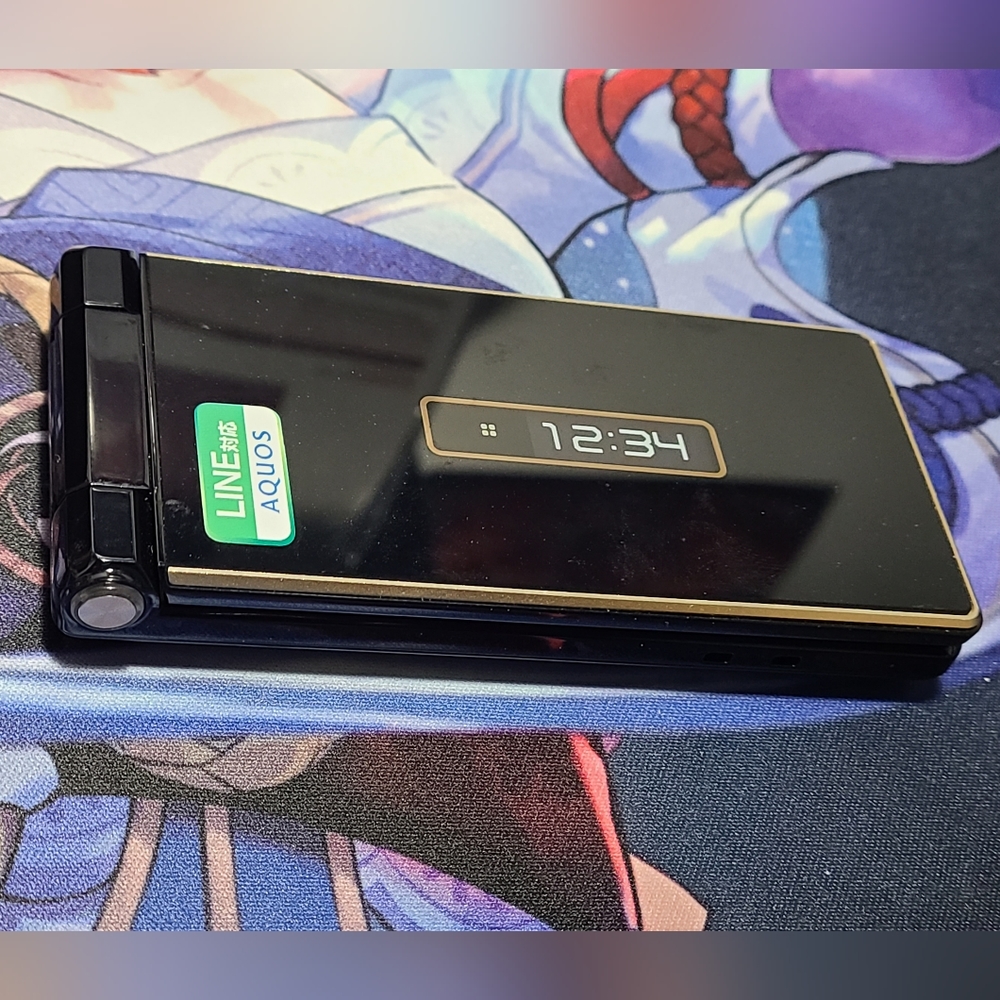 Kyocera Docomo SH-06G Display Model